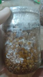 IMG_20201210_231706.jpg