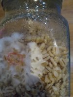 IMG_20201217_010513.jpg