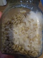 IMG_20201217_010422.jpg