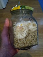 IMG_20201217_010342.jpg