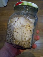 IMG_20201217_010318.jpg