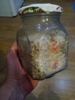 IMG_20201217_010247.jpg