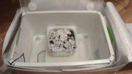 IMG_20201217_071208.jpg