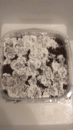 IMG_20201217_071220.jpg