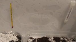 IMG_20201217_234612.jpg