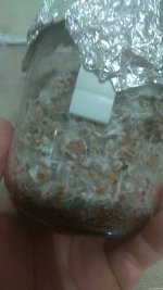 IMG_20201216_214522.jpg