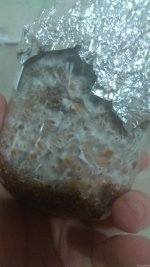 IMG_20201216_214528.jpg