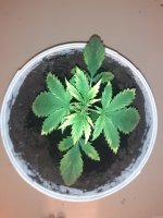 20201218_133832.jpg