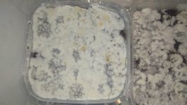 IMG_20201220_002925.jpg