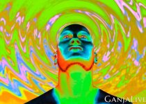 trip.jpg