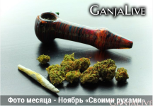 Фото месяца.PNG