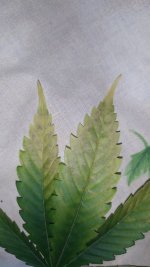 IMG_20201226_001054.jpg