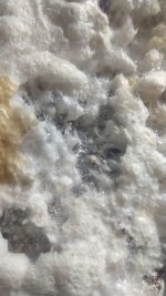 IMG_20201226_192231.jpg