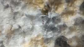 IMG_20201226_192254.jpg