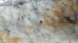 IMG_20201227_112600.jpg