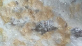 IMG_20201227_112615.jpg