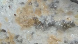 IMG_20201227_112636.jpg