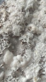IMG_20201227_112740.jpg