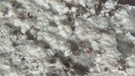 IMG_20201227_112759.jpg