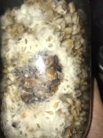 IMG_5197.jpeg