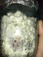 IMG_5205.jpeg