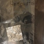 IMG_5209.jpeg