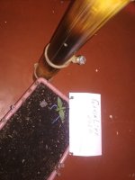 IMG_20201226_191514.jpg