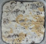 IMG_20201228_073611.jpg