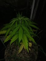 IMG_2872.JPG