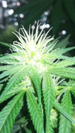 photo-2020-12-29 01-41-39.jpg