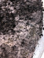 IMG_5216.jpeg