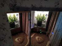 IMG_20201222_104648.jpg