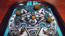 IMG_20201218_183559.jpg