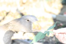 IMG_9412.JPG