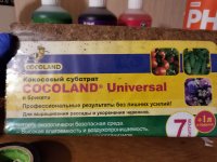 IMG_20210107_181220.jpg