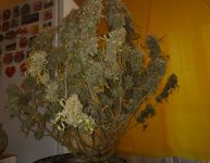 IMG_20210104_102830.jpg