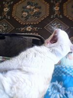IMG_20170315_074359.jpg
