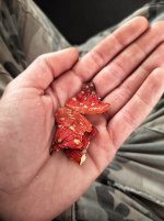 IMG_20210110_094947_tigr-01.jpg