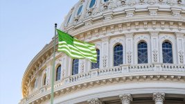 us-capitol-green-flag.jpg