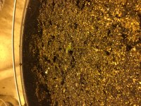 автик 1 вечер 11.01.JPG