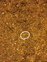 авто 2 начало.JPG