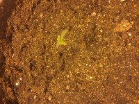 авто 13 январчя.JPG