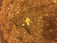 авто 13 янвая.JPG