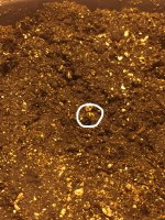 авто начало.JPG