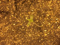 фото 13 января.JPG