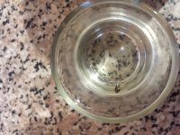 фото кореш.JPG