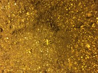 фотик начало.JPG