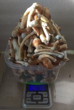 IMG_20210118_110445.jpg