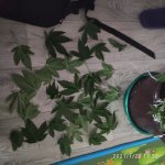 IMG_20210122_173201.jpg