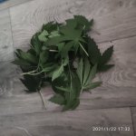 IMG_20210122_173231.jpg